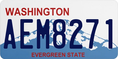 WA license plate AEM8271