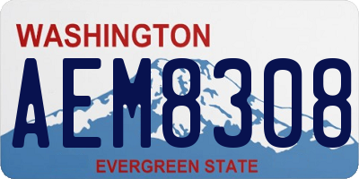 WA license plate AEM8308