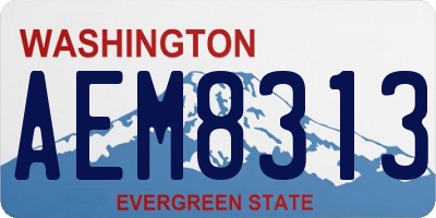 WA license plate AEM8313