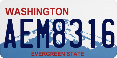 WA license plate AEM8316