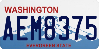 WA license plate AEM8375