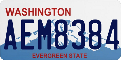 WA license plate AEM8384
