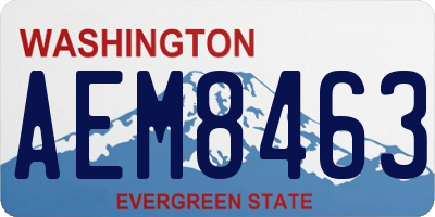 WA license plate AEM8463