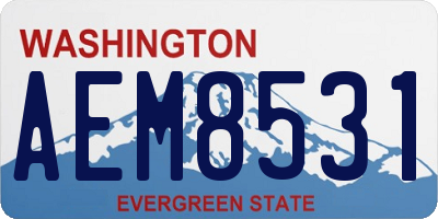 WA license plate AEM8531