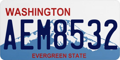 WA license plate AEM8532