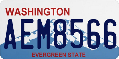 WA license plate AEM8566