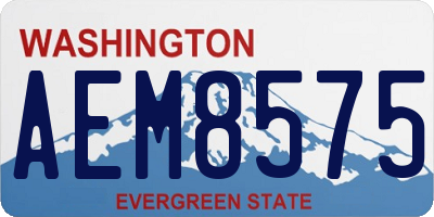 WA license plate AEM8575