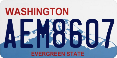 WA license plate AEM8607
