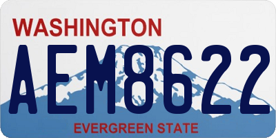 WA license plate AEM8622