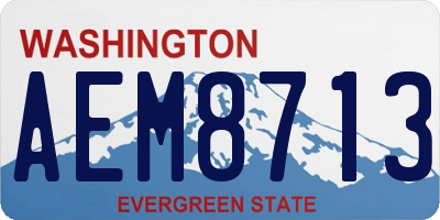 WA license plate AEM8713