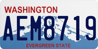 WA license plate AEM8719