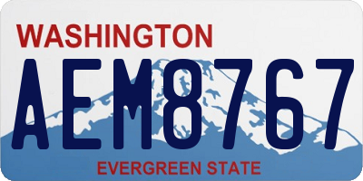WA license plate AEM8767