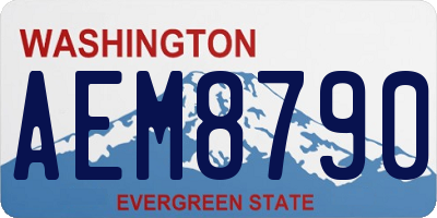 WA license plate AEM8790