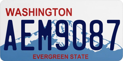 WA license plate AEM9087