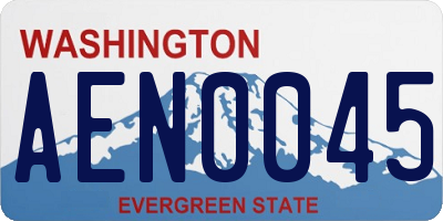 WA license plate AEN0045