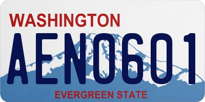 WA license plate AEN0601