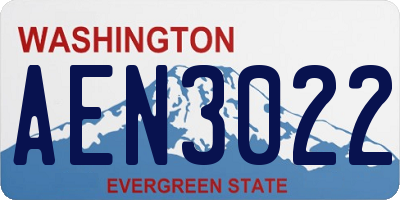 WA license plate AEN3022