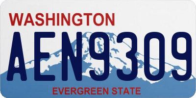 WA license plate AEN9309