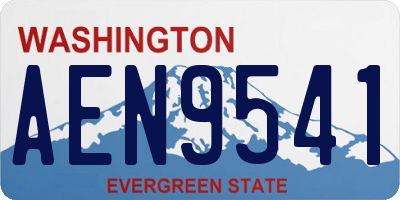 WA license plate AEN9541