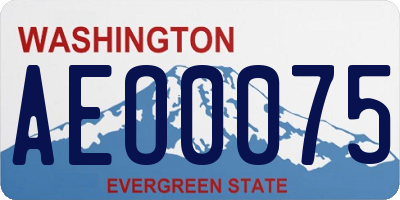 WA license plate AEO0075