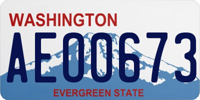 WA license plate AEO0673