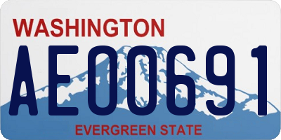 WA license plate AEO0691