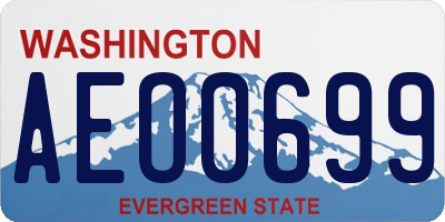 WA license plate AEO0699