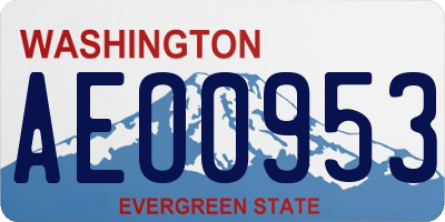 WA license plate AEO0953