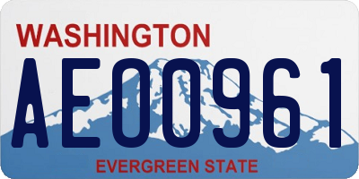 WA license plate AEO0961