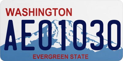 WA license plate AEO1030
