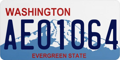 WA license plate AEO1064