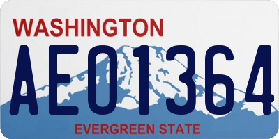 WA license plate AEO1364