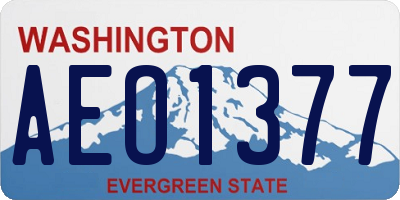 WA license plate AEO1377