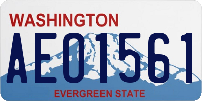 WA license plate AEO1561