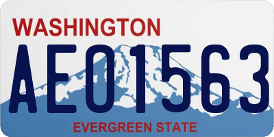 WA license plate AEO1563