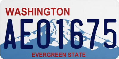 WA license plate AEO1675