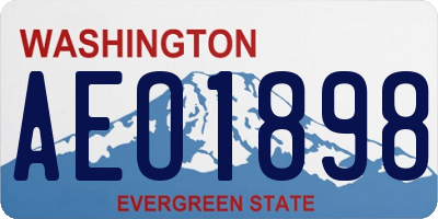 WA license plate AEO1898