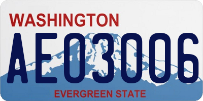 WA license plate AEO3006