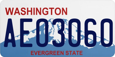 WA license plate AEO3060