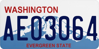 WA license plate AEO3064