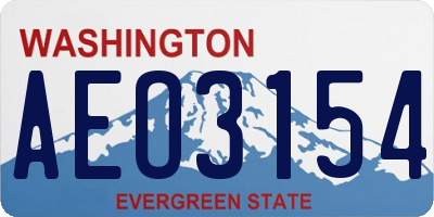 WA license plate AEO3154