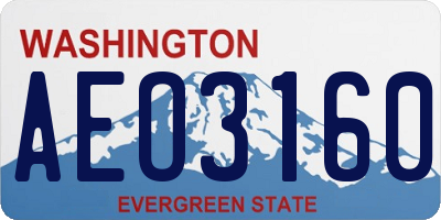 WA license plate AEO3160