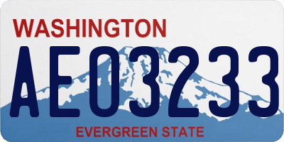 WA license plate AEO3233