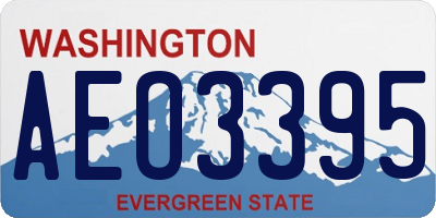 WA license plate AEO3395