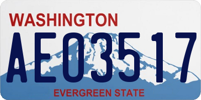 WA license plate AEO3517