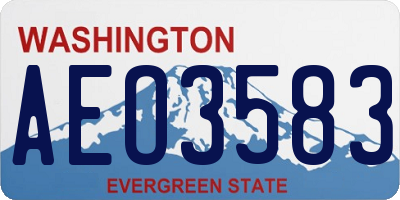WA license plate AEO3583
