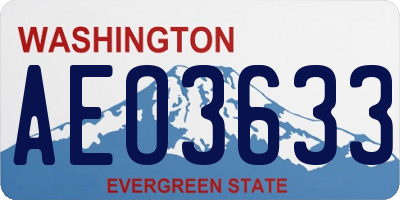 WA license plate AEO3633