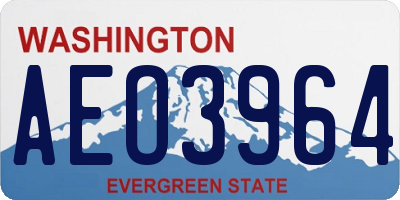 WA license plate AEO3964
