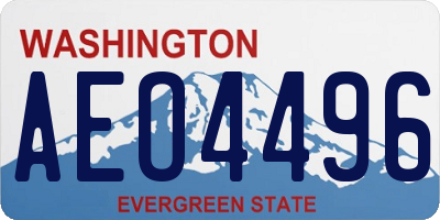 WA license plate AEO4496