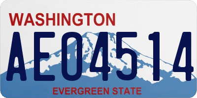 WA license plate AEO4514